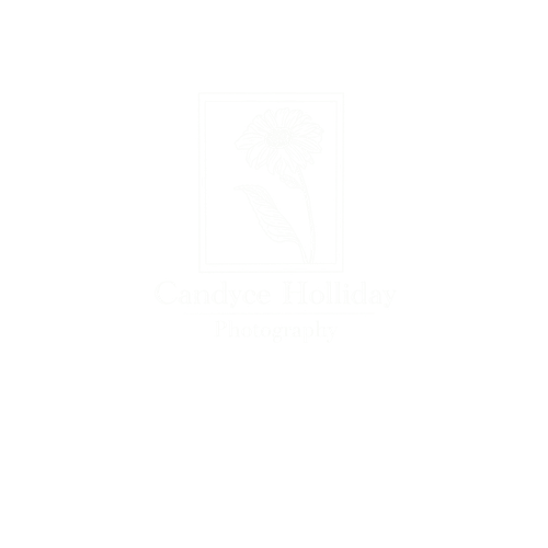 Candyce Holliday Photography