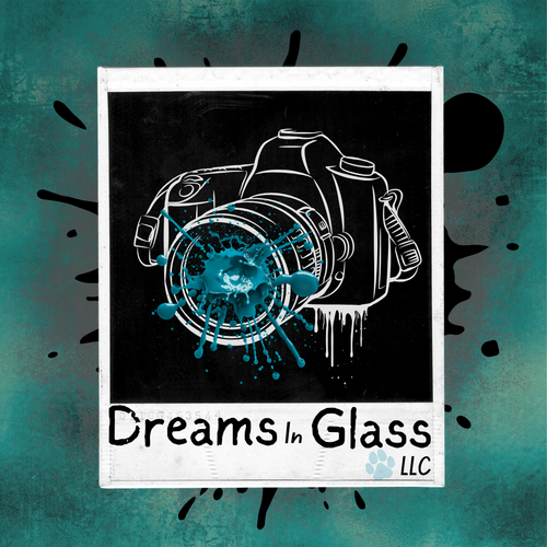 Dreams In Glass LLC
