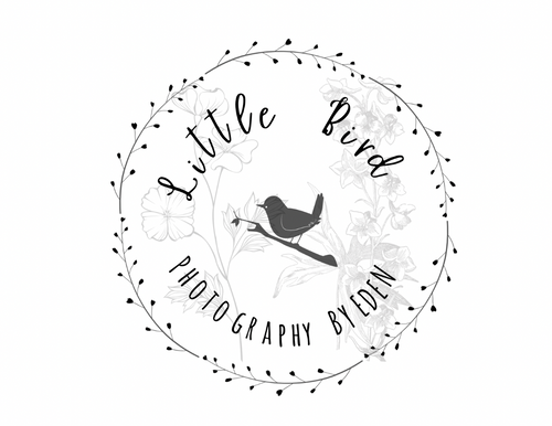 Little Bird Photography By Eden
