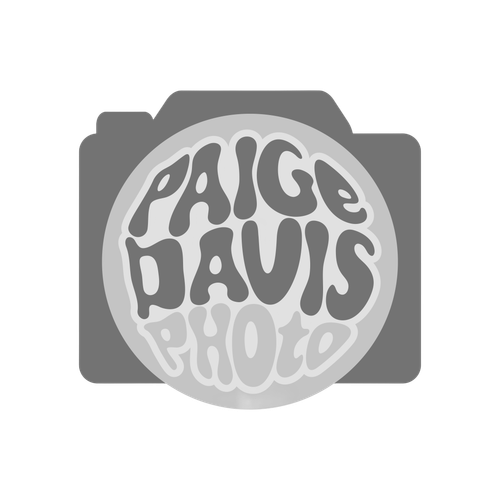 Paige Davis Photo