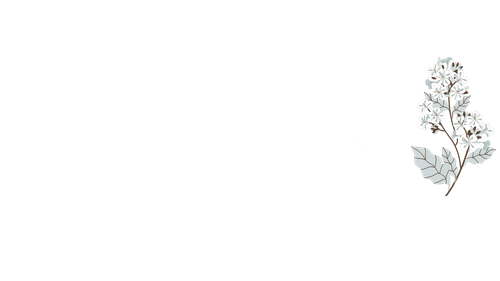 Abigail Lynn Photography