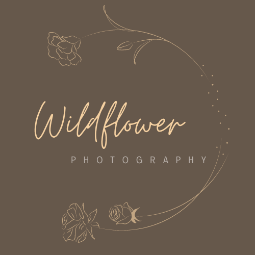 Wildflower Photography
