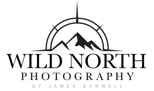 site-logo