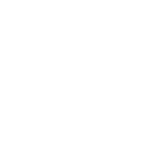 The Art of Light and Time