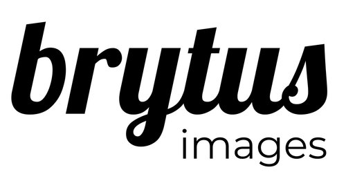 site-logo