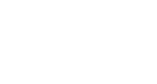 All Things Wild Imagery