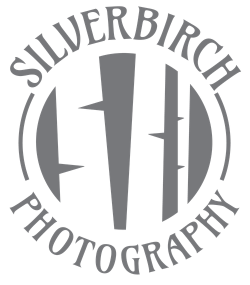 Silverbirch Photos