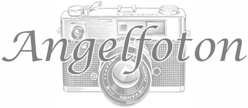 Angelfoton