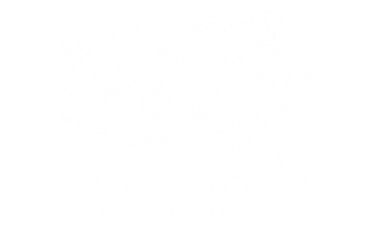 Purple Shutterbug
