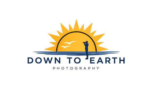 site-logo
