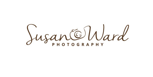 Susan Ward Photography