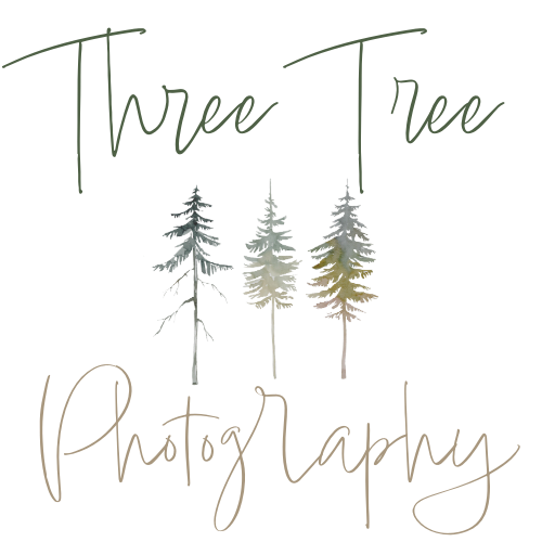 Three Tree Photography