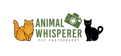 Animal Whisperer Pet Photography