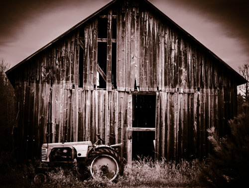 Southern Bell Photography