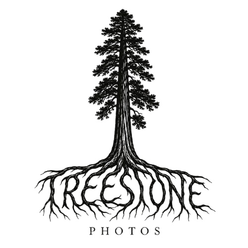 site-logo