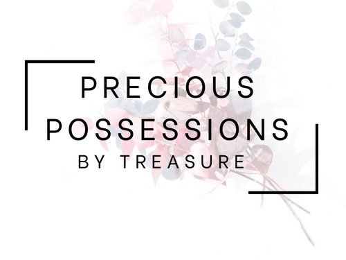 Precious Possessions By Treasure