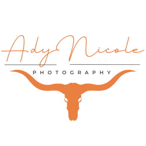 Ady Nicole Photography, LLC