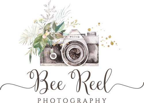 Bee Reel Photography
