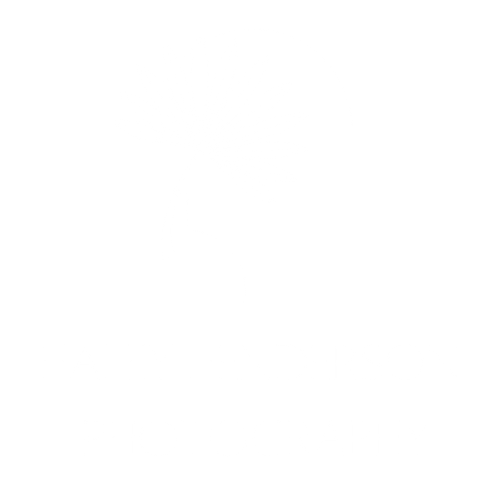 Haley Henderson Photography