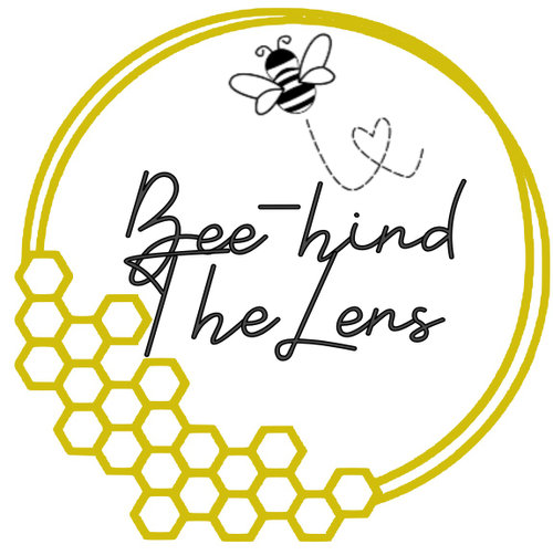 Bee-hind the Lens Photography