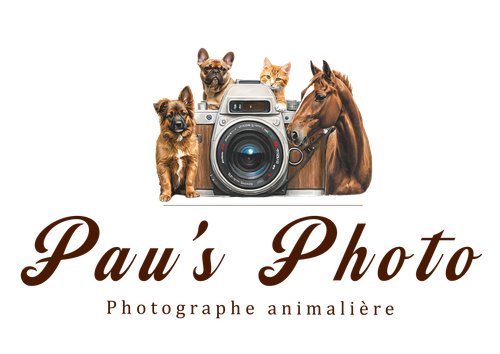 Pau's Photo