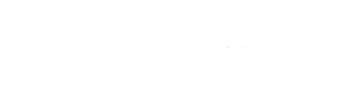 Equine Photography North Carolina
