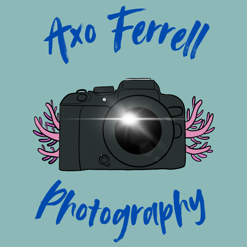 site-logo