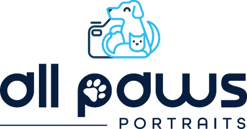All Paws Portraits