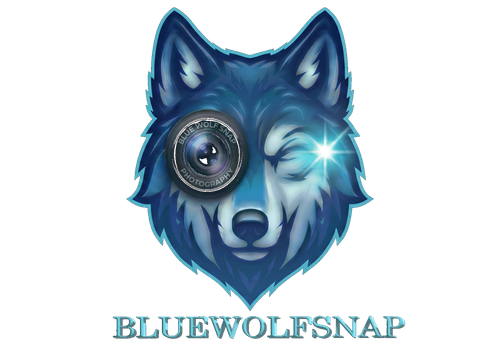 Blue Wolf Snap Photography