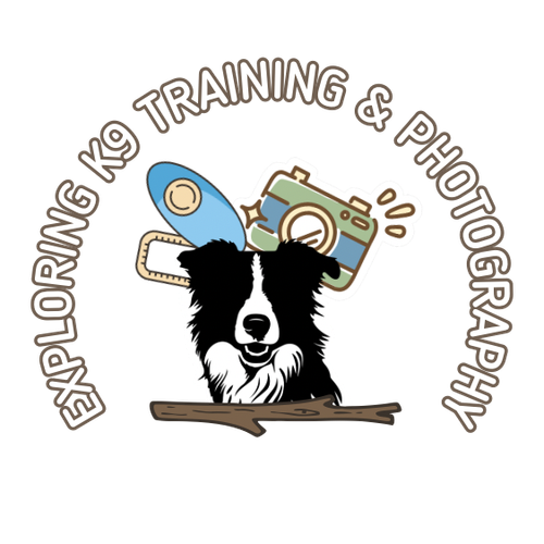 Exploring K9 Training & Photography