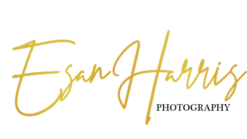 site-logo
