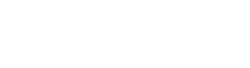 Wild Willow Photography