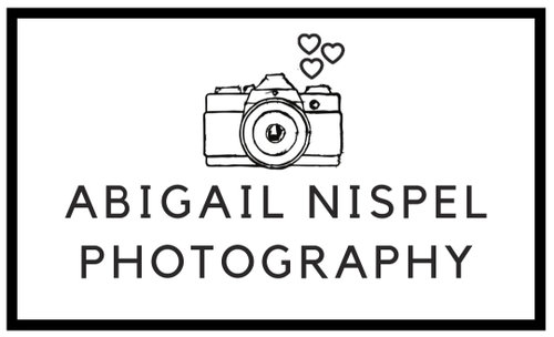 Abigail Nispel Photography