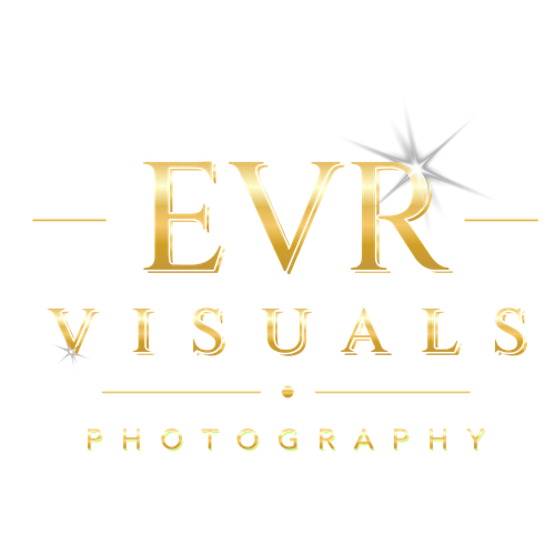 EVR VISUALS