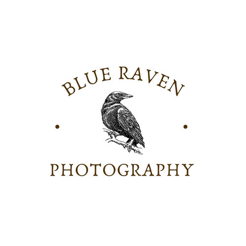 Blue Raven Photography