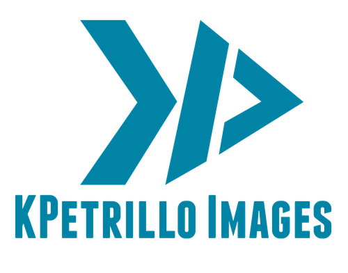 site-logo