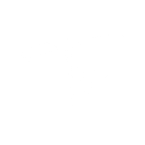 Ted Visual