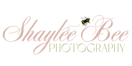 site-logo