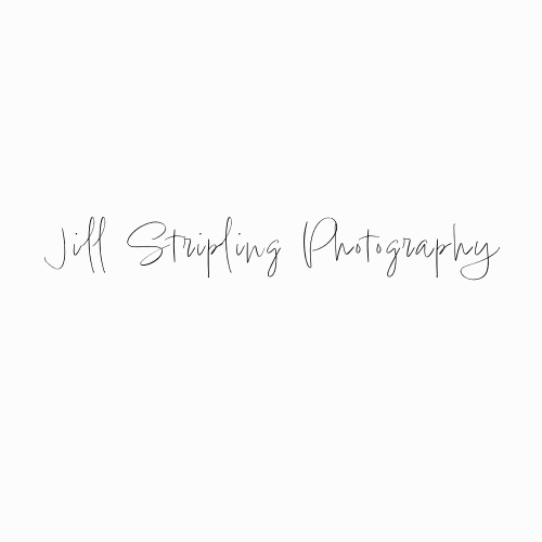 Jill Stripling Photography