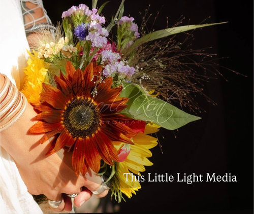 This Little Light Media
