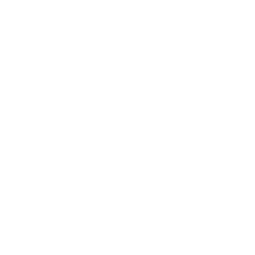 Laetitia Perron Photographe Grossesse à Saâcy-sur-marne