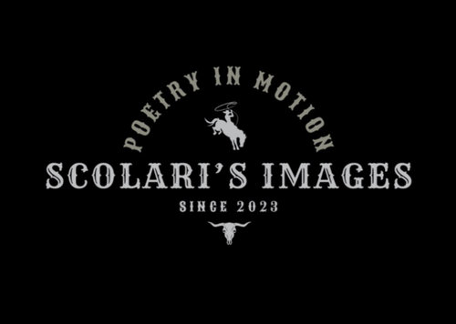 Scolari’s Images: Poetry In Motion