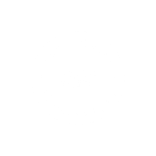 Kate Wolf Photography