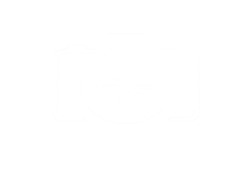 site-logo
