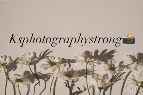 Ksphotographystrong