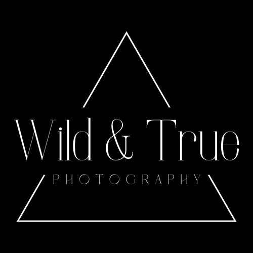 site-logo