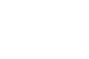 Southern Alayna Photography
