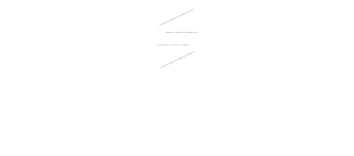 Sentido Visual