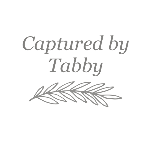 Captured by Tabby