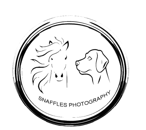 Snaffles Photography
